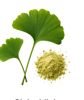 Ginko biloba