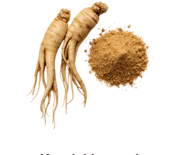 Korejski crveni ginseng